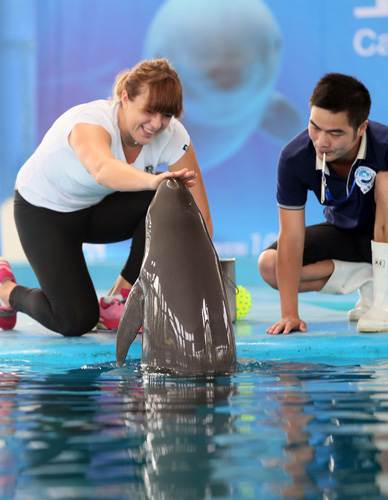 这一经典对 这一经典对